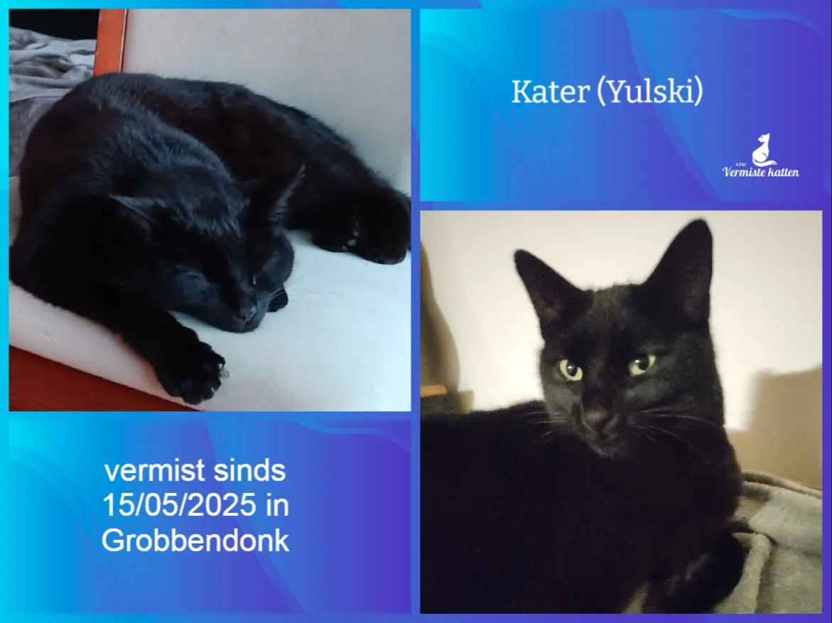 Kater (officieel Yulski)
