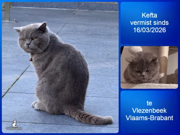 KEFTA