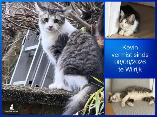 Kevin