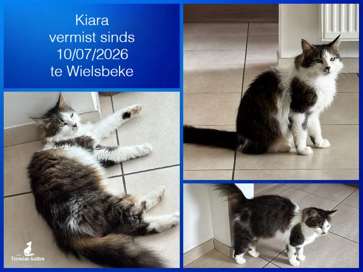 Kiara