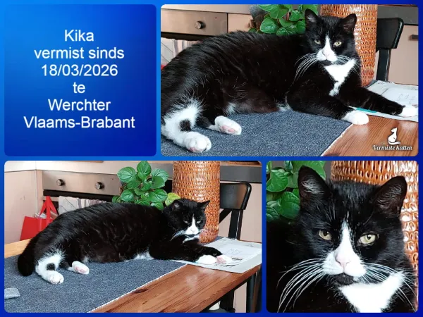 Kika