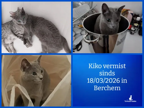 Kiko