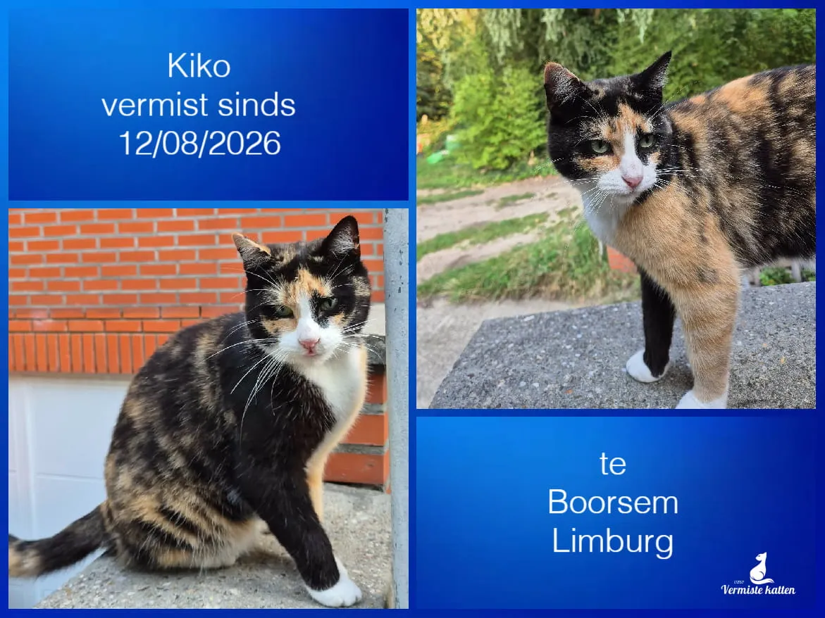 Kiko