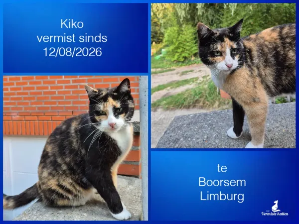 Kiko