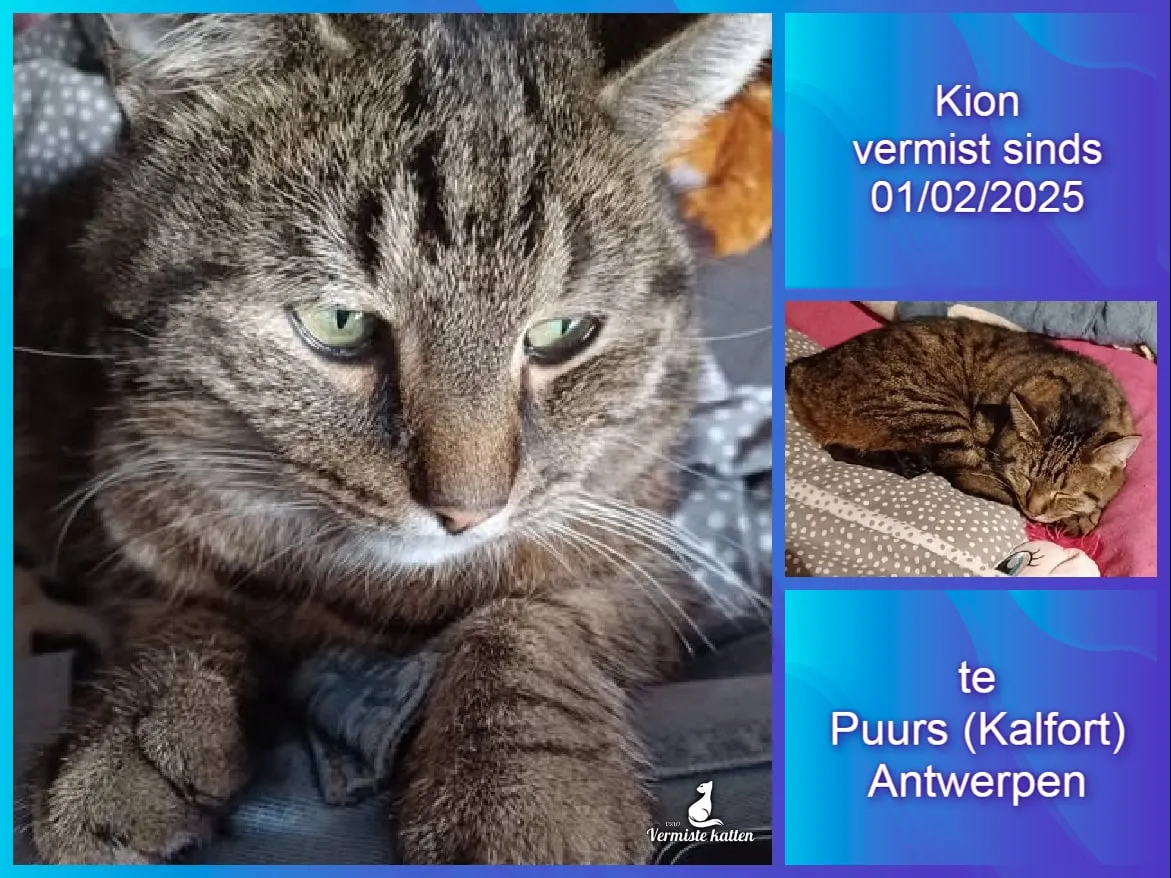 Kion