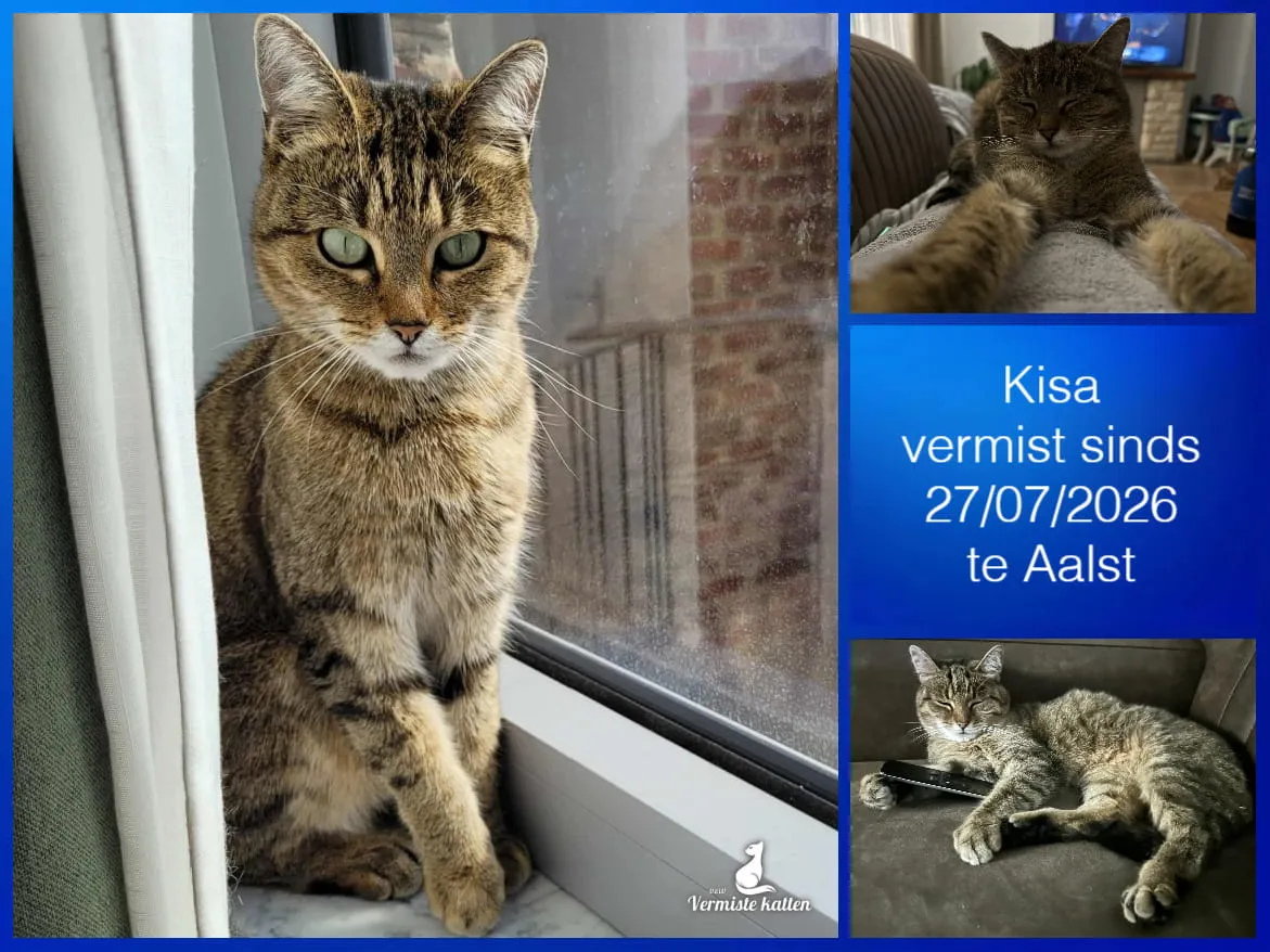 Kisa