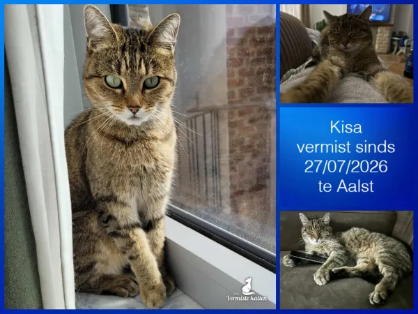 Kisa