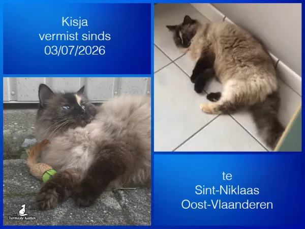 Kisja