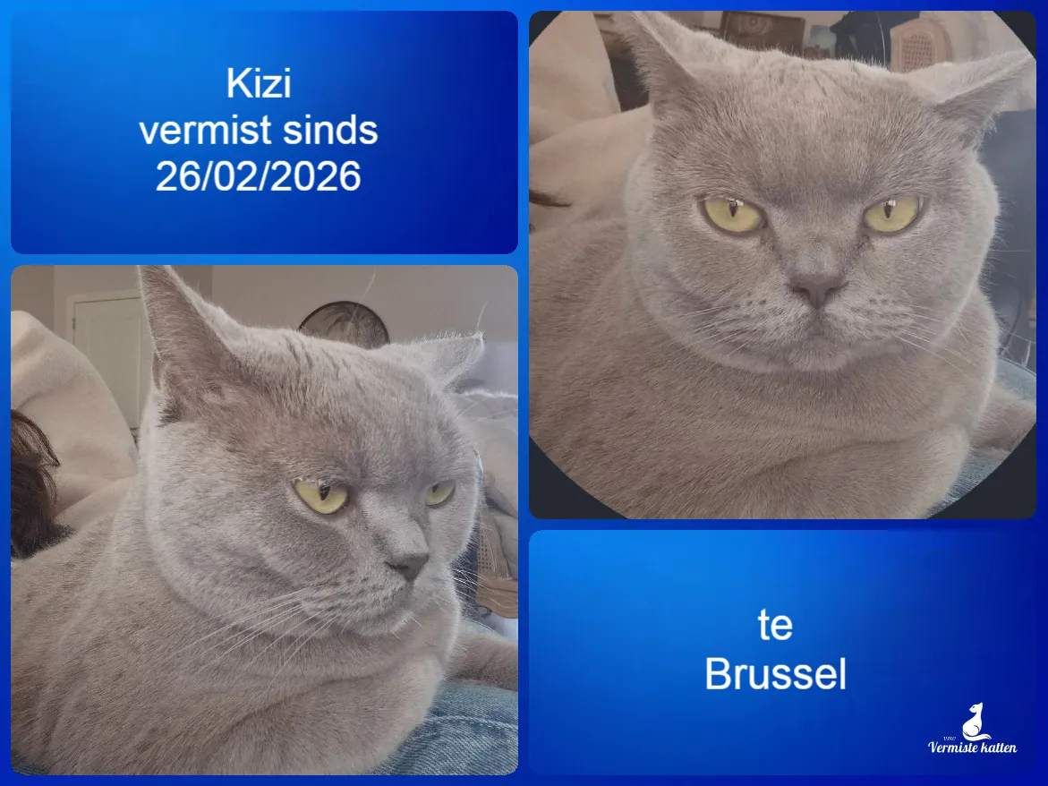 Kizi