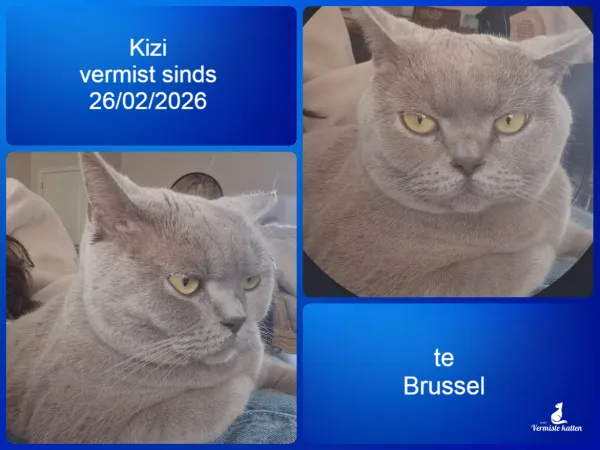 Kizi
