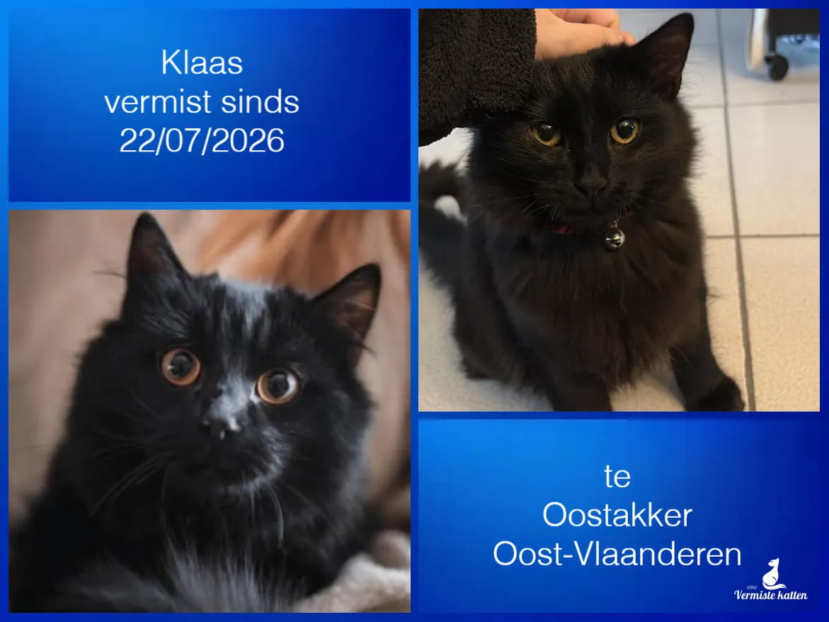 Klaas