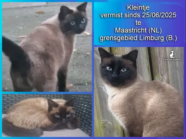 Kleintje