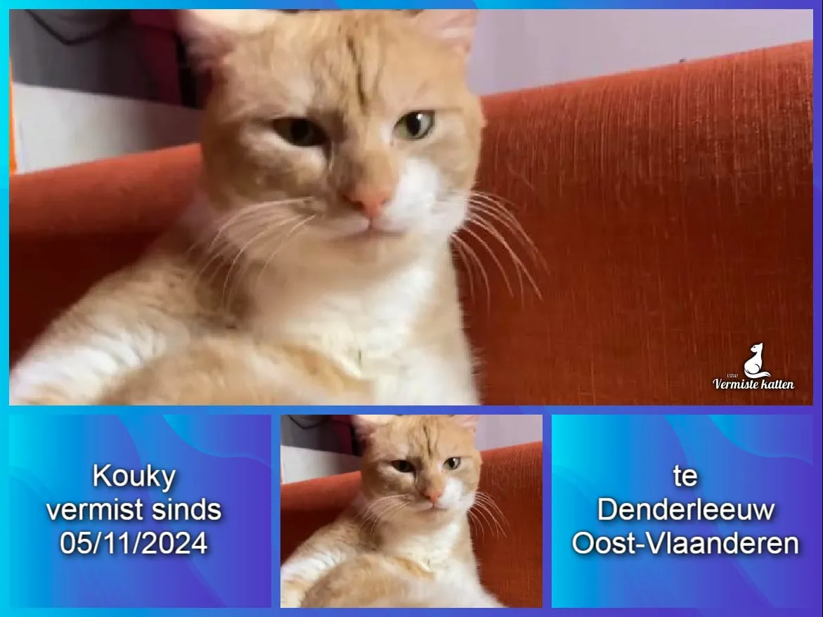 Kouky
