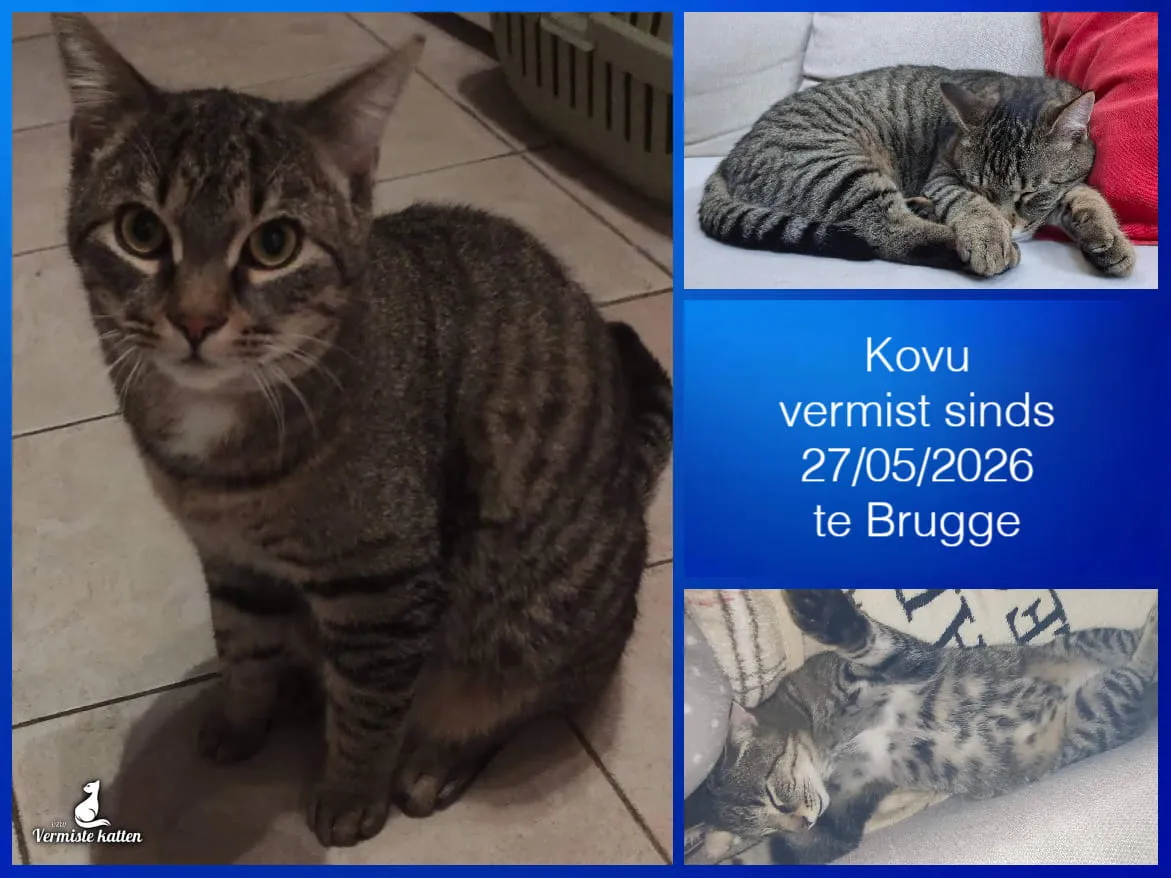 Kovu