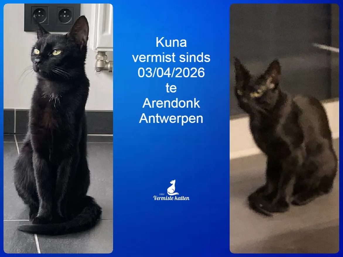 Kuna