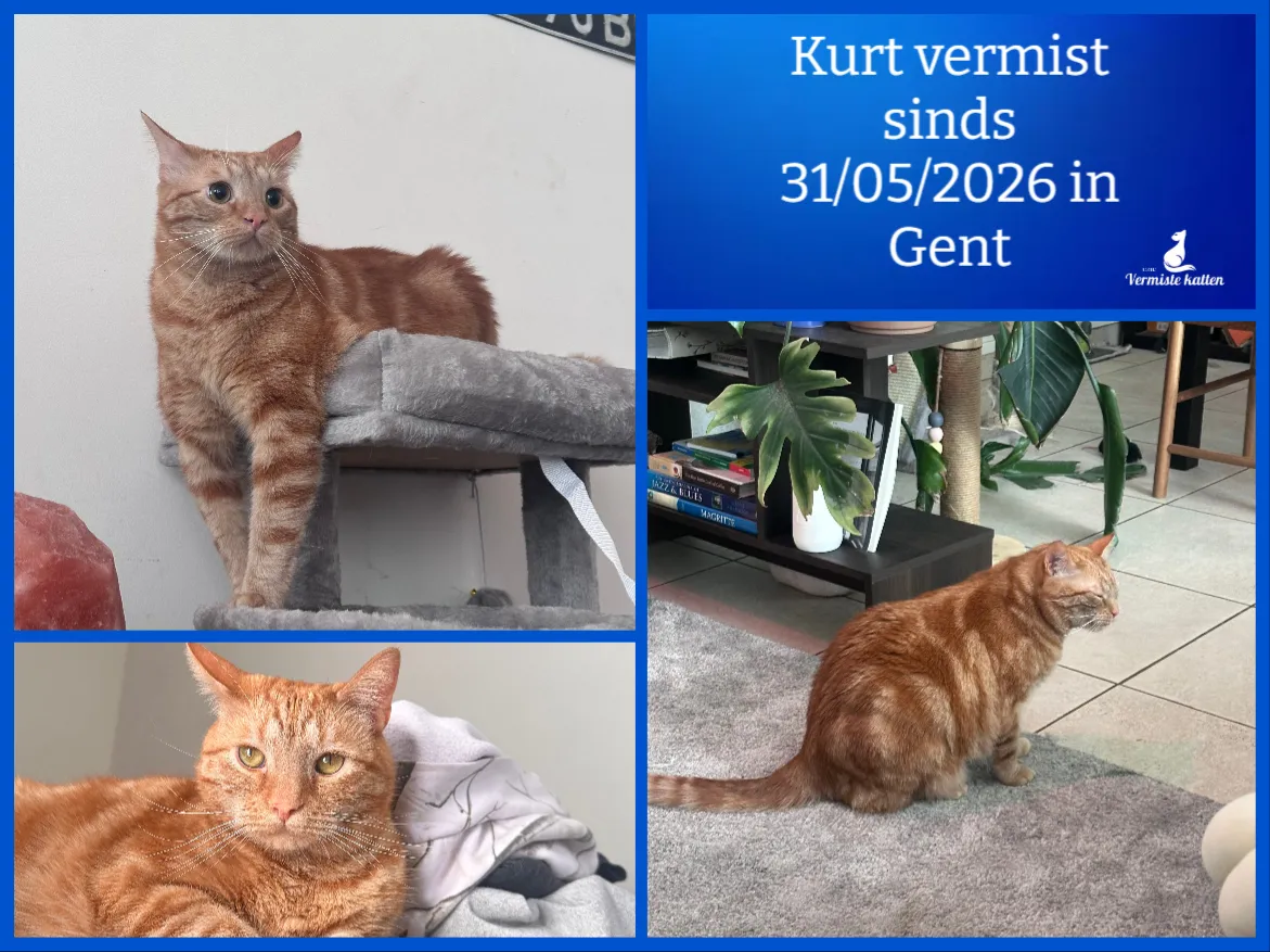 Kurt