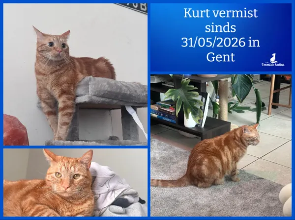 Kurt
