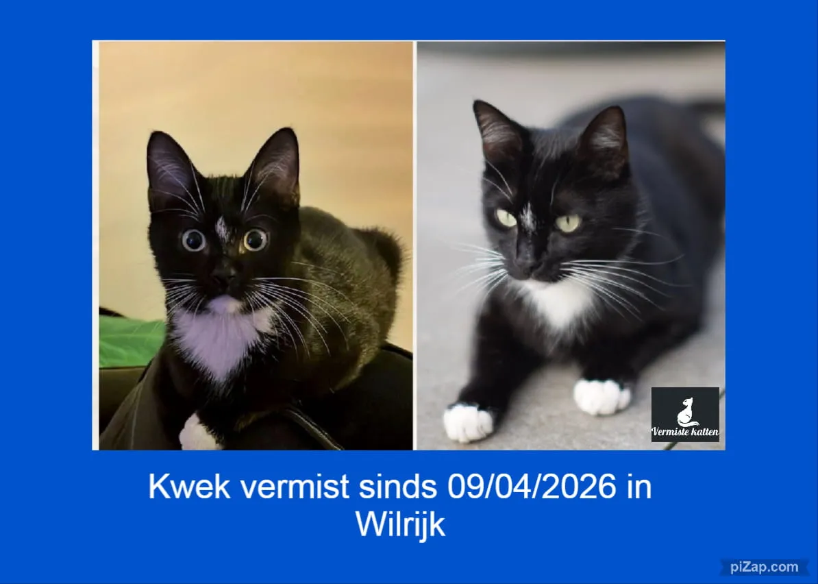 Kwek