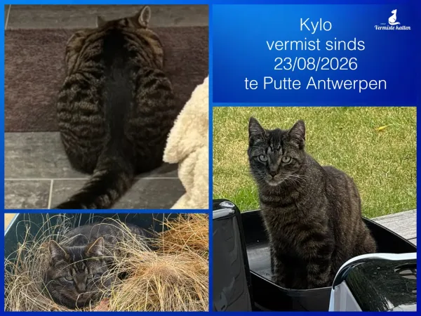 Kylo