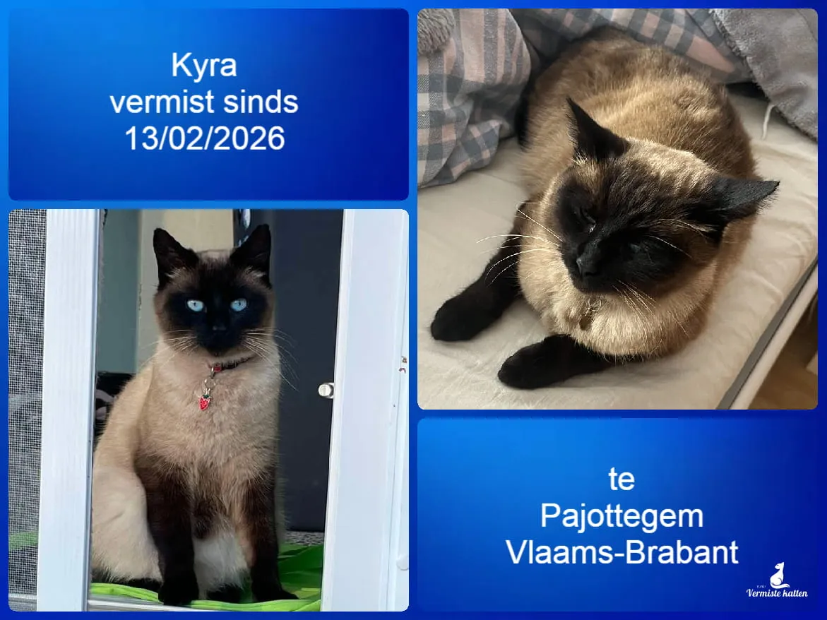 Kyra