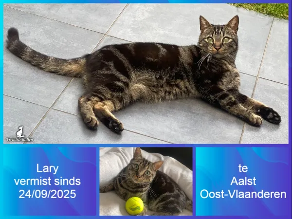Lary