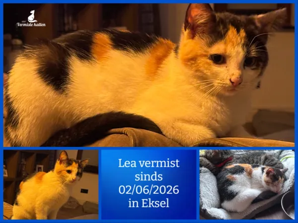 Lea