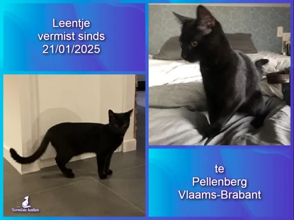 Leentje