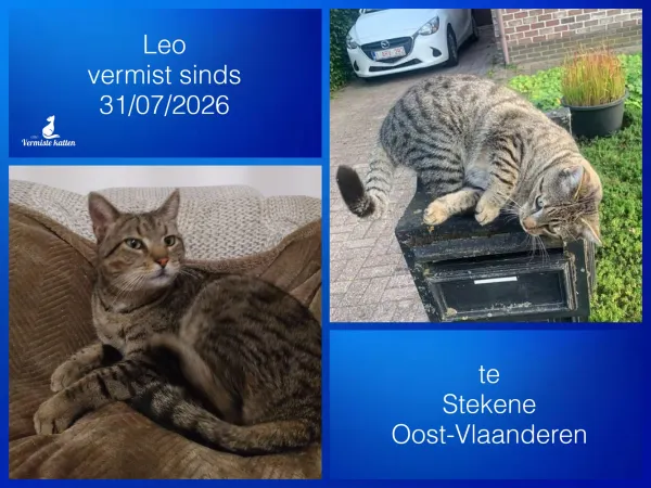 Leo
