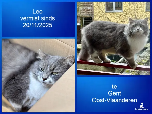 Leo
