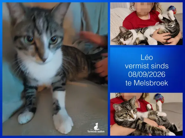 Léo