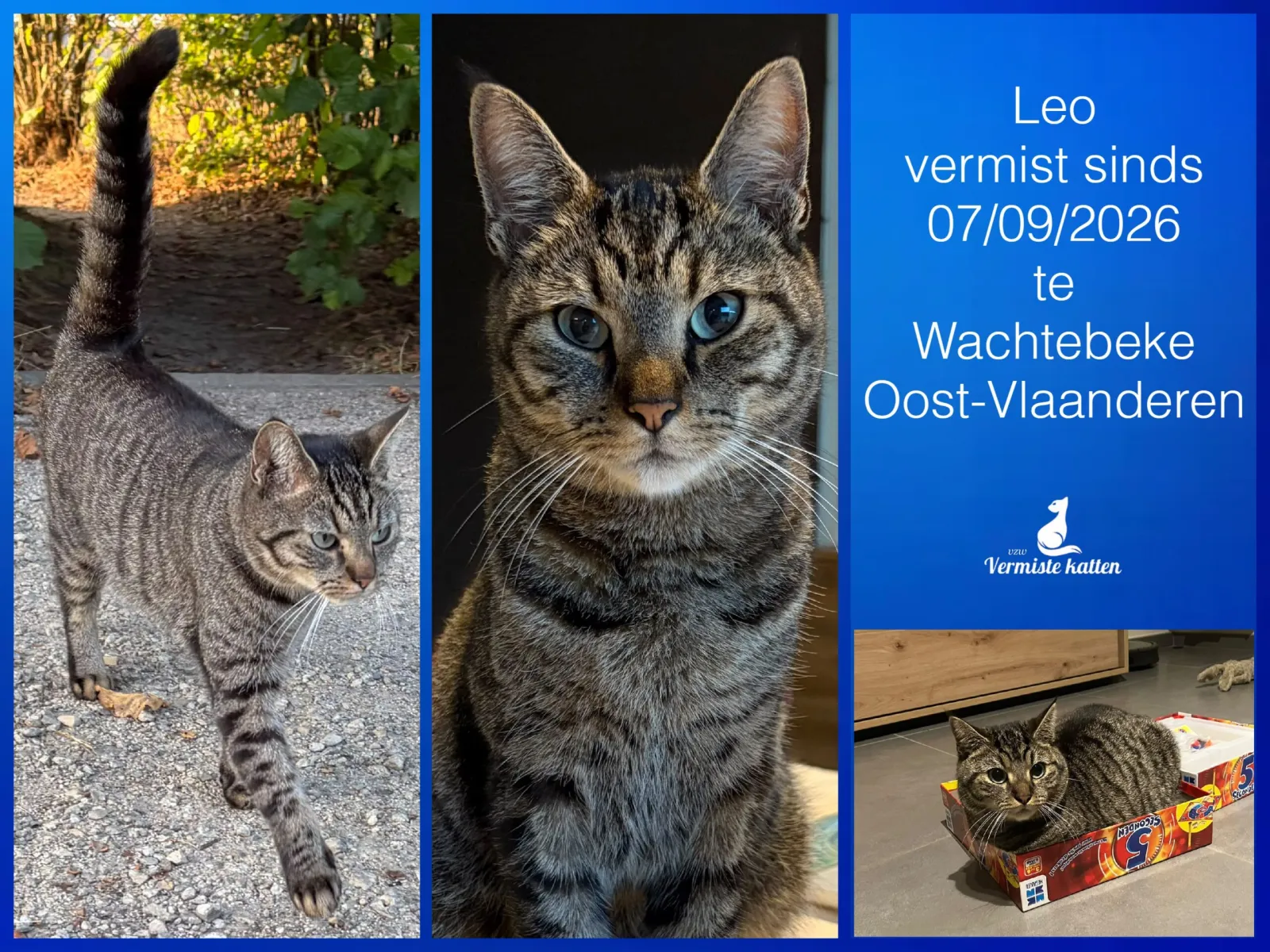 Leo