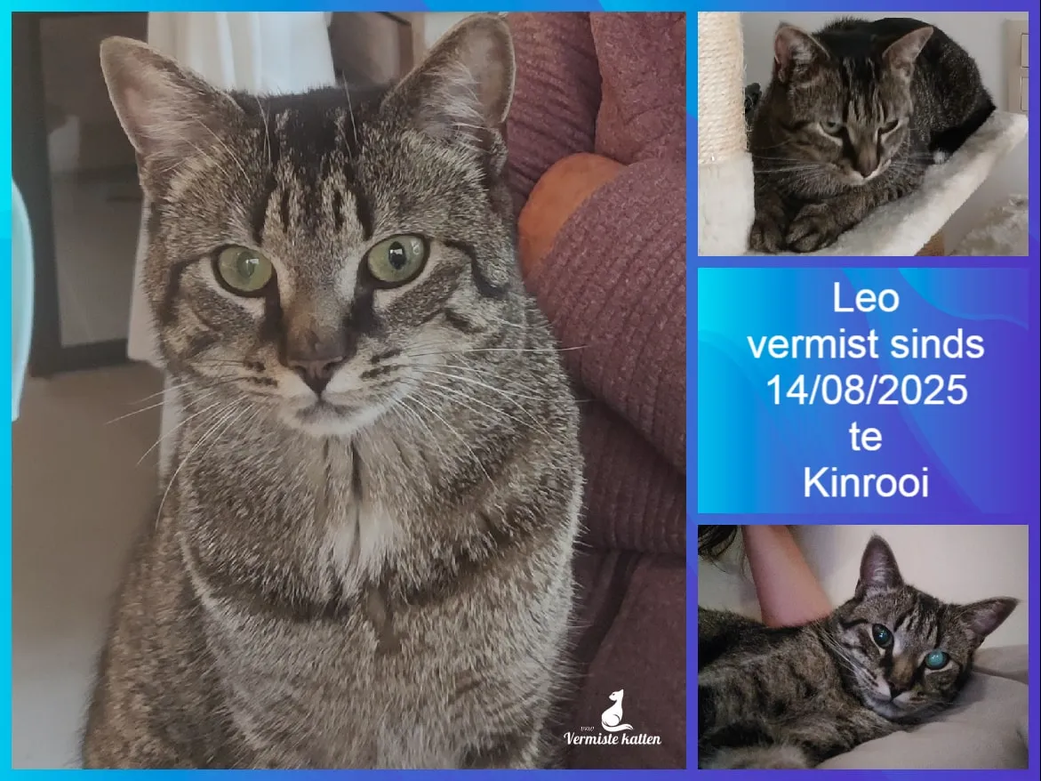 Leo