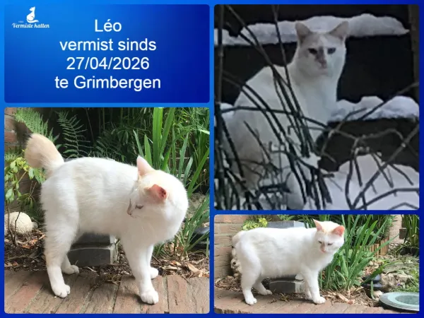 Léo
