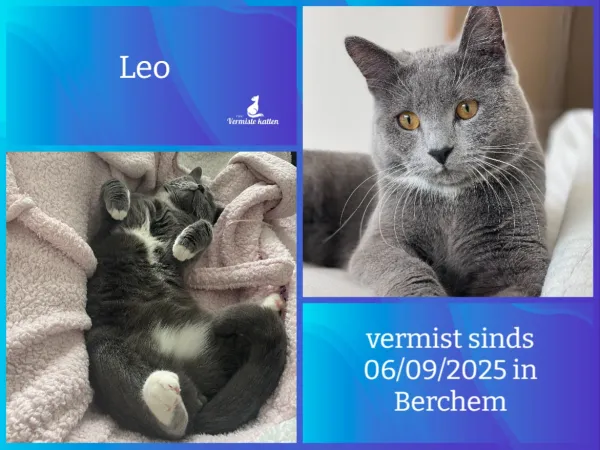 Leo