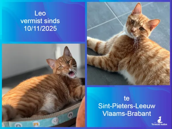 Leo