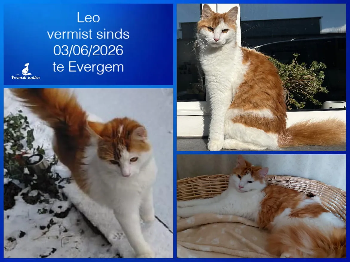 Leo