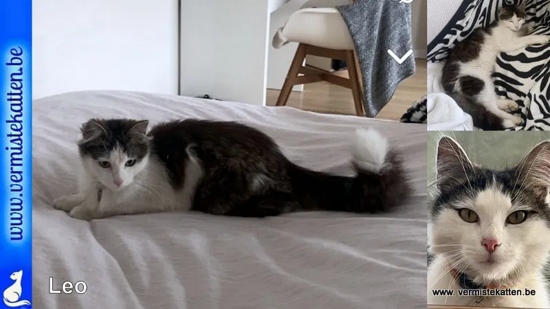 Leo