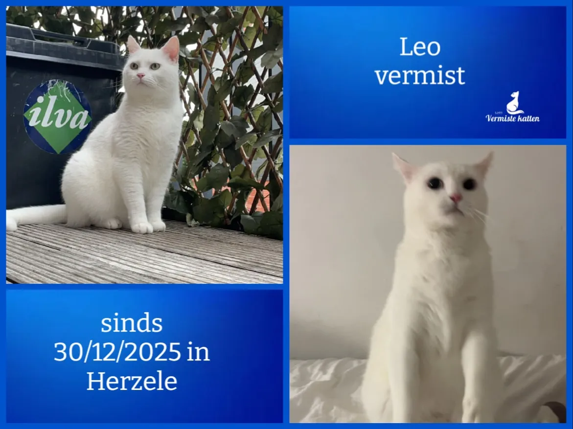 Leo