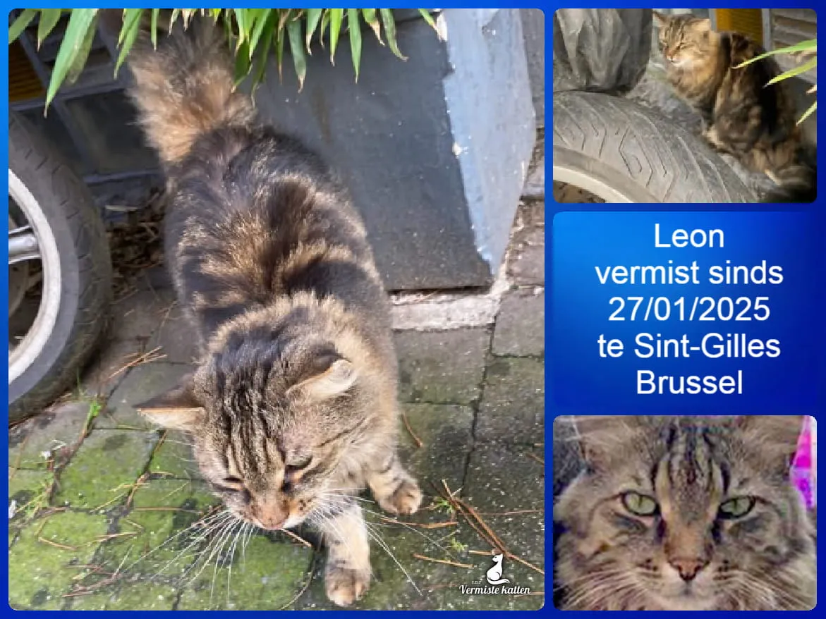 Leon