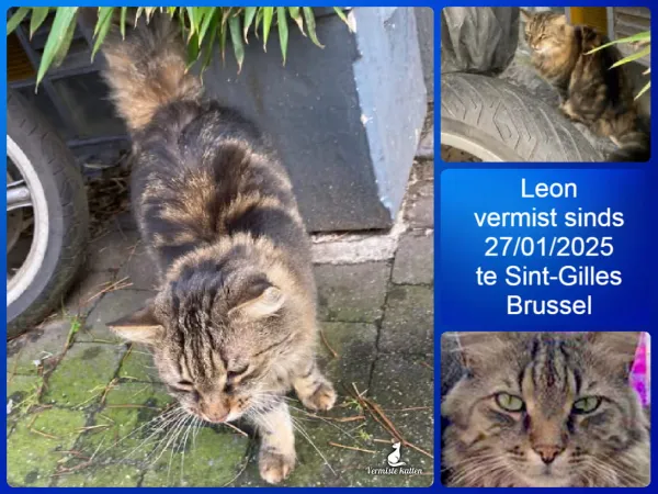 Leon