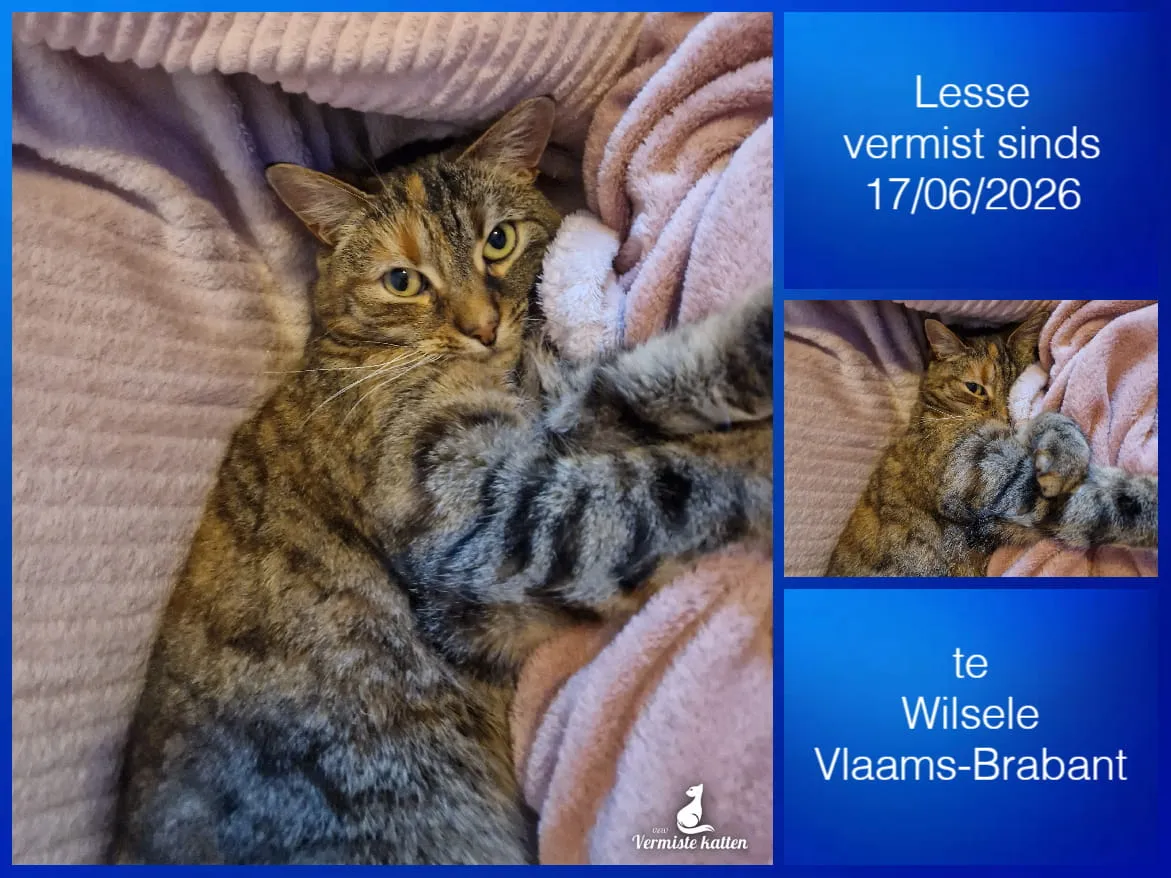 Lesse