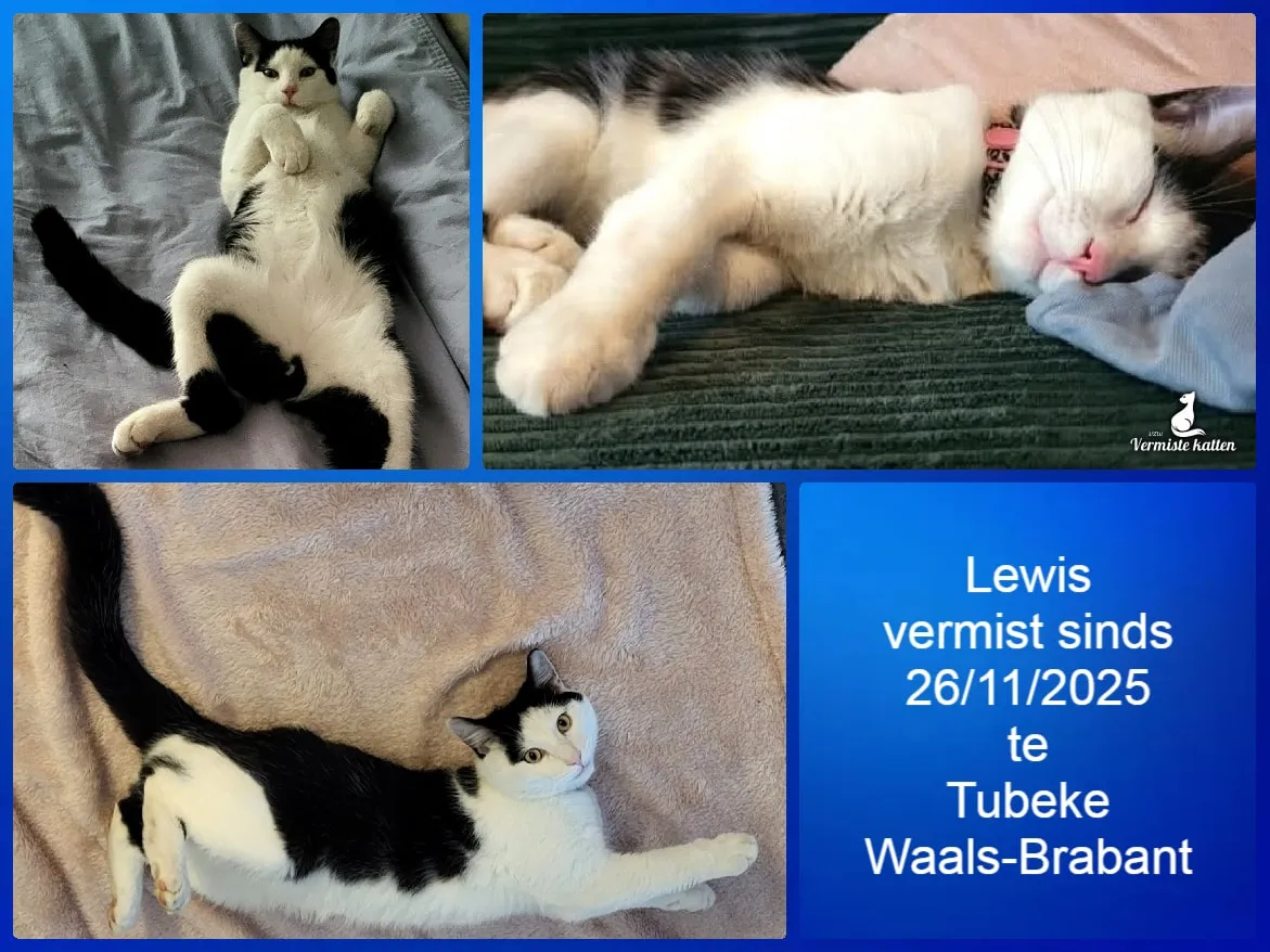 Lewis