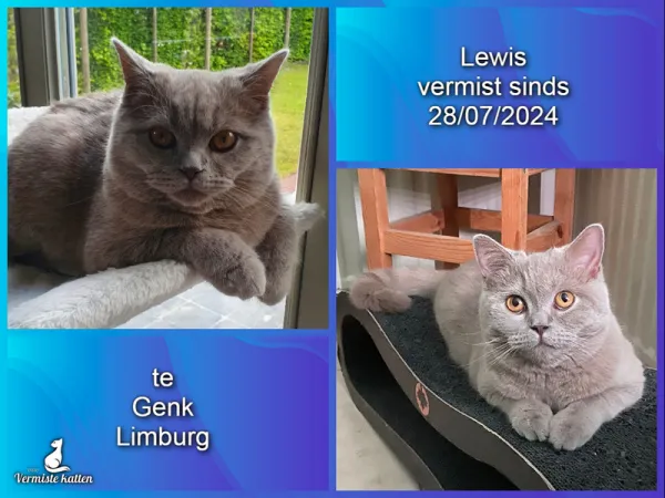 Lewis