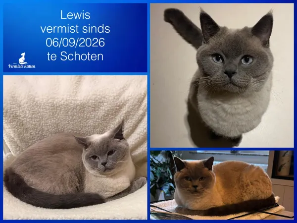 Lewis