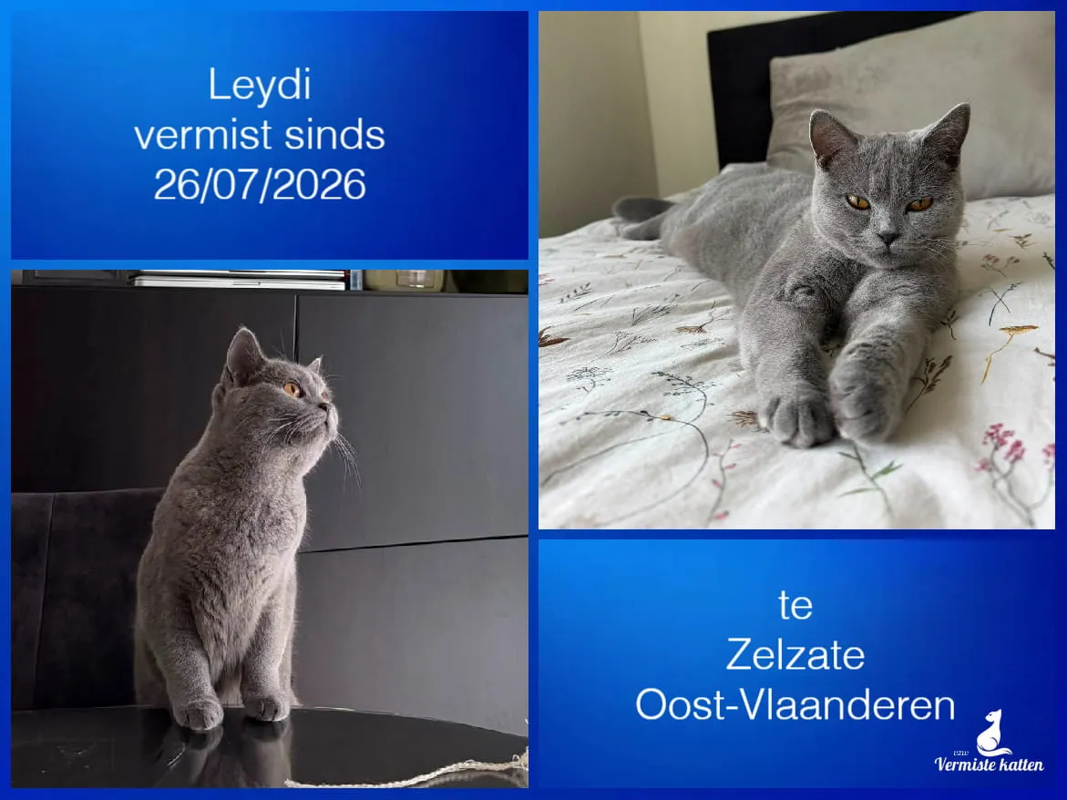 Leydi