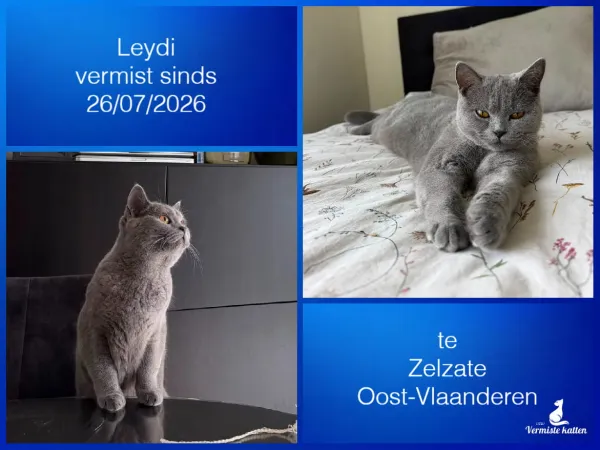 Leydi