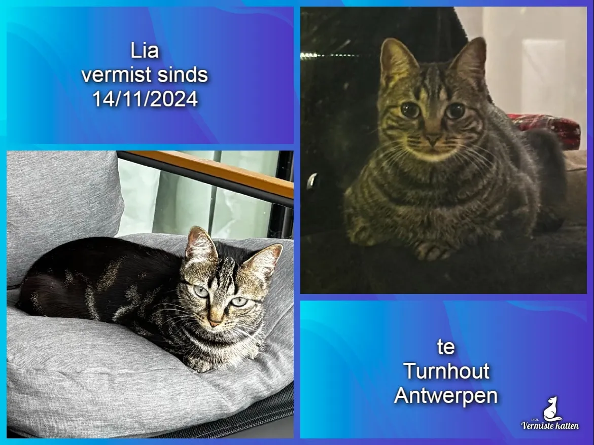 Lia