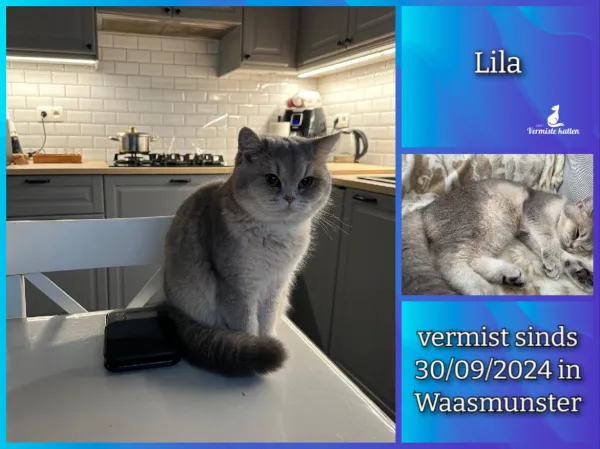 Lila