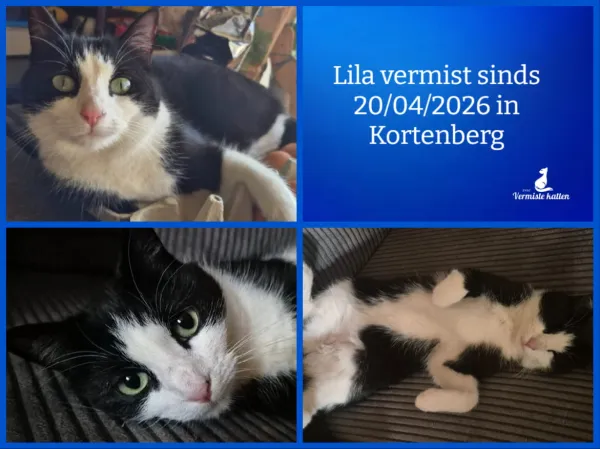 Lila