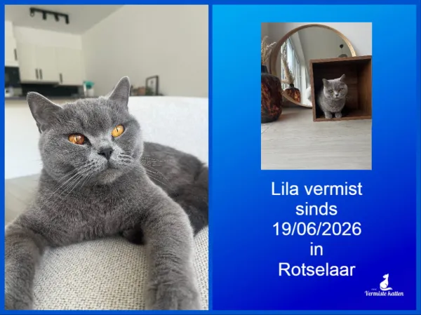 Lila
